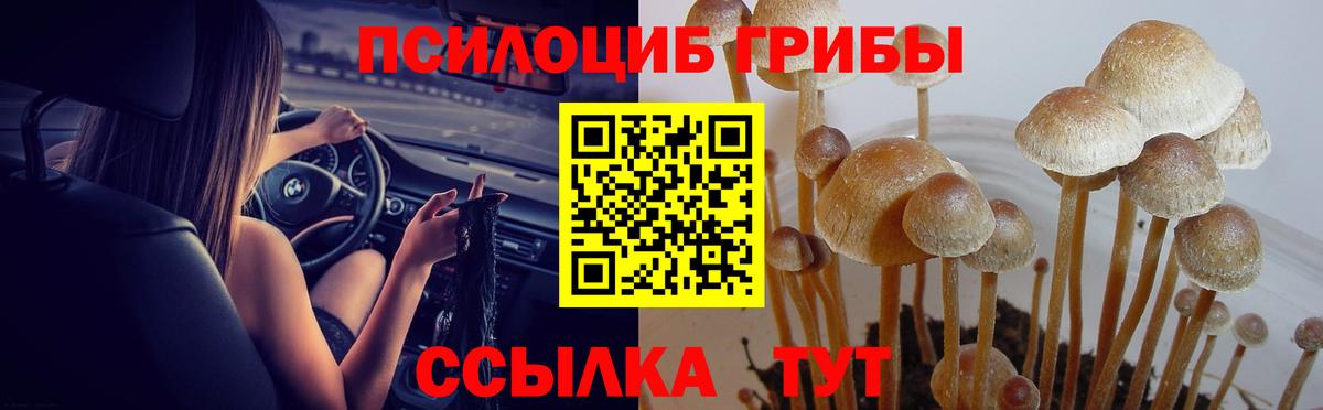 Галлюциногенные грибы Cubensis Крымск